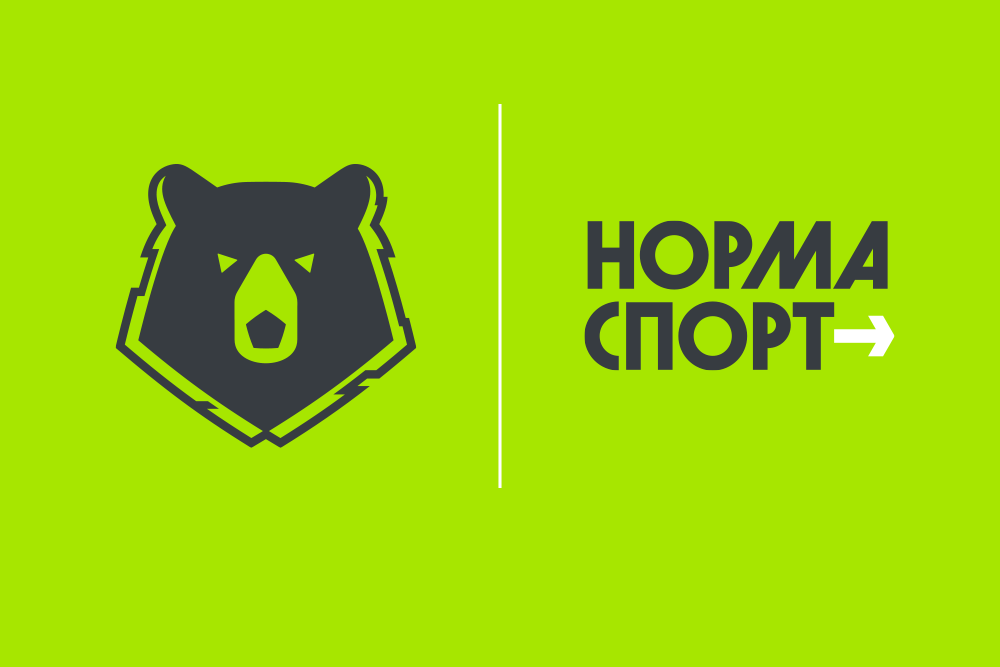 Спорт норма жизни. Спорт норма жизни логотип. Спорт норма жизни брендбук. Бнедб бук спорт норма жизни.